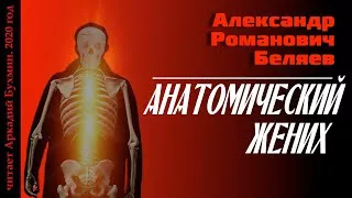 Беляев Александр - Анатомический жених