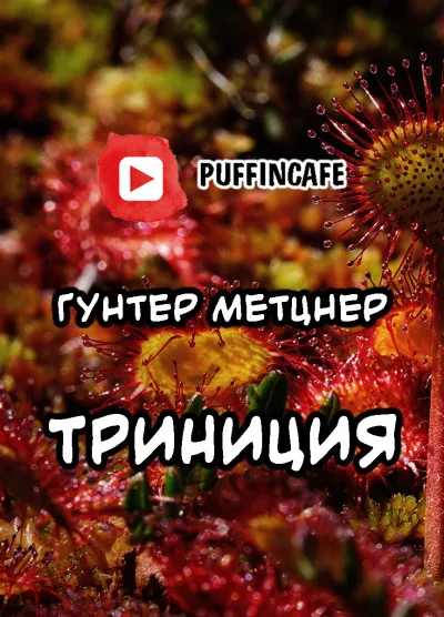 Метцнер Гунтер - Trinicia